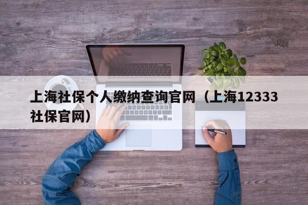 上海社保个人缴纳查询官网（上海12333社保官网）