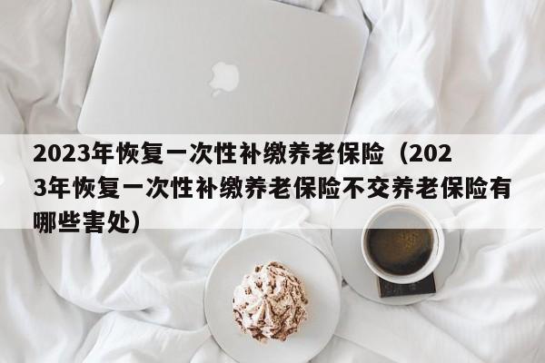 2023年恢复一次性补缴养老保险（2023年恢复一次性补缴养老保险不交养老保险有哪些害处）