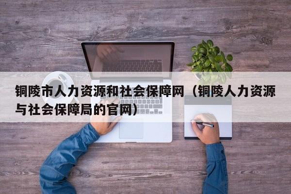 铜陵市人力资源和社会保障网（铜陵人力资源与社会保障局的官网）
