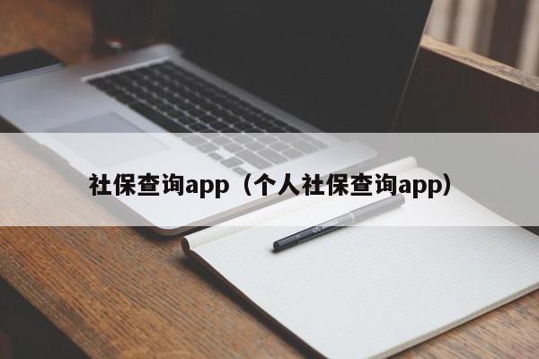 社保查询app（个人社保查询app）