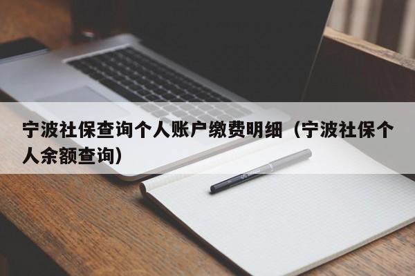 宁波社保查询个人账户缴费明细（宁波社保个人余额查询）