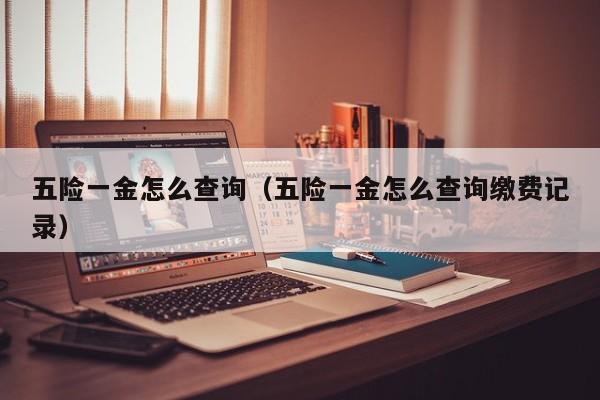五险一金怎么查询（五险一金怎么查询缴费记录）