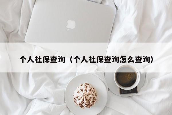 个人社保查询（个人社保查询怎么查询）