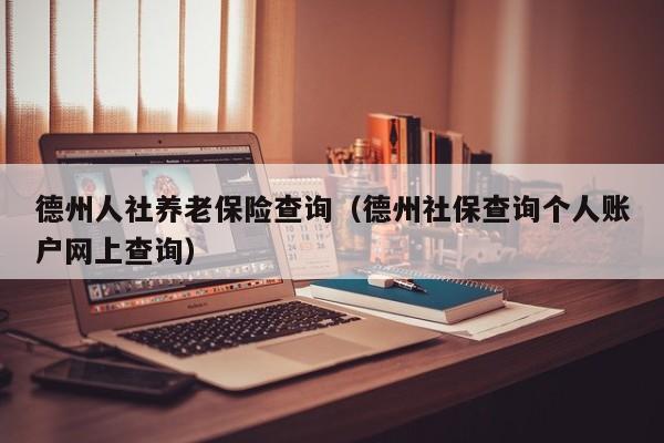 德州人社养老保险查询（德州社保查询个人账户网上查询）