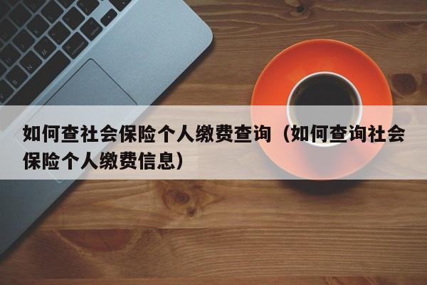 如何查社会保险个人缴费查询（如何查询社会保险个人缴费信息）