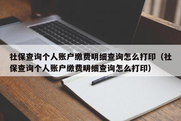 社保查询个人账户缴费明细查询怎么打印（社保查询个人账户缴费明细查询怎么打印）