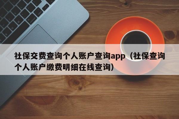 社保交费查询个人账户查询app（社保查询个人账户缴费明细在线查询）