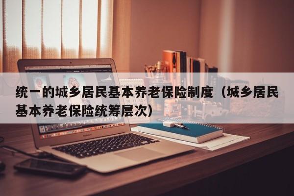 统一的城乡居民基本养老保险制度（城乡居民基本养老保险统筹层次）
