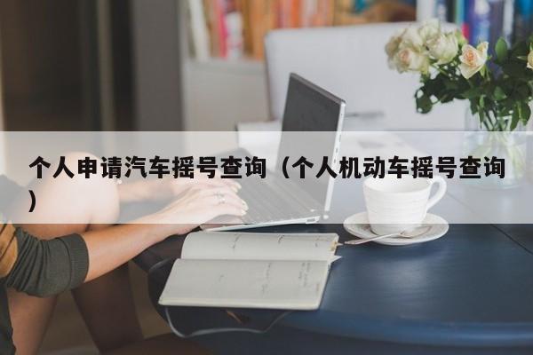 个人申请汽车摇号查询（个人机动车摇号查询）