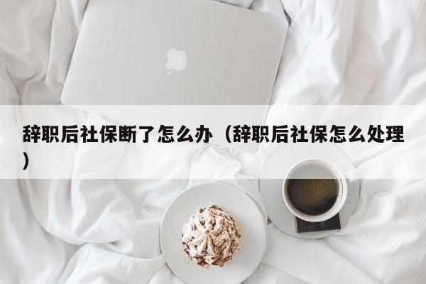 辞职后社保断了怎么办（辞职后社保怎么处理）