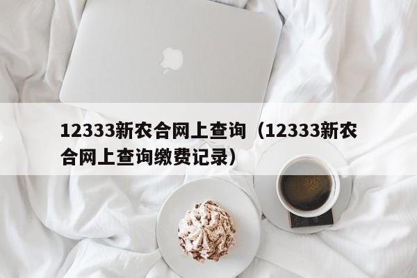 12333新农合网上查询（12333新农合网上查询缴费记录）