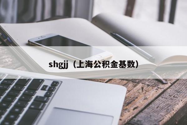 shgjj（上海公积金基数）