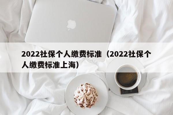 2022社保个人缴费标准（2022社保个人缴费标准上海）