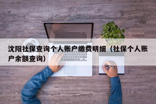 沈阳社保查询个人账户缴费明细（社保个人账户余额查询）