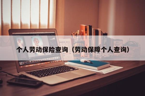 个人劳动保险查询（劳动保障个人查询）