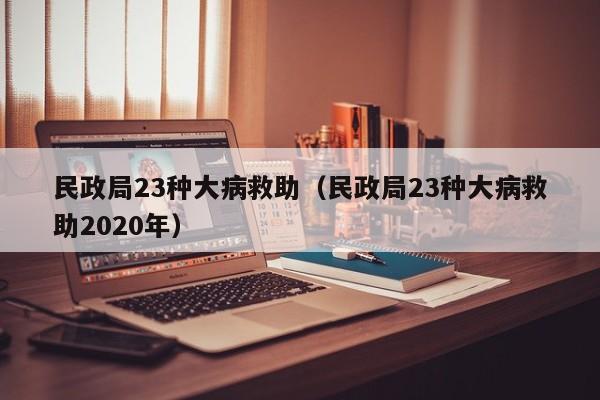 民政局23种大病救助（民政局23种大病救助2020年）