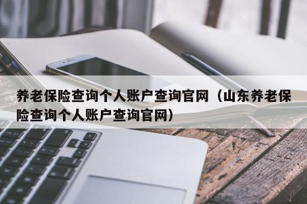 养老保险查询个人账户查询官网（山东养老保险查询个人账户查询官网）