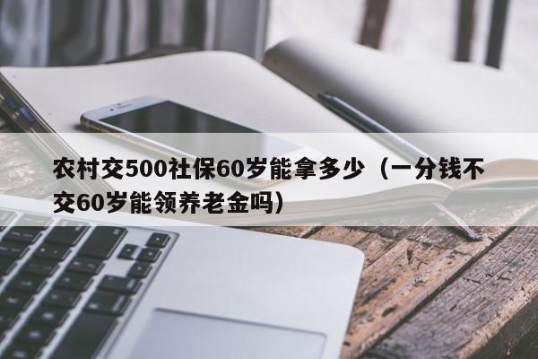 农村交500社保60岁能拿多少（一分钱不交60岁能领养老金吗）
