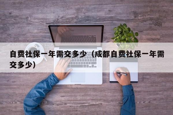 自费社保一年需交多少（成都自费社保一年需交多少）