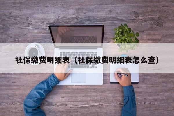 社保缴费明细表（社保缴费明细表怎么查）