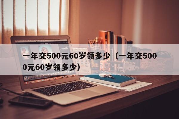 一年交500元60岁领多少（一年交5000元60岁领多少）