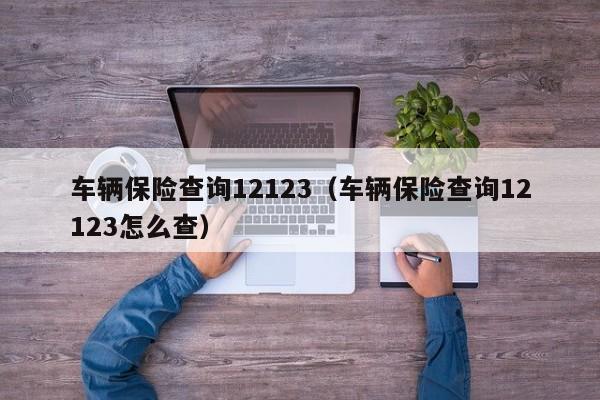 车辆保险查询12123（车辆保险查询12123怎么查）