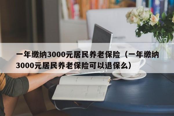 一年缴纳3000元居民养老保险（一年缴纳3000元居民养老保险可以退保么）