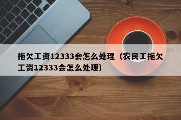 拖欠工资12333会怎么处理（农民工拖欠工资12333会怎么处理）