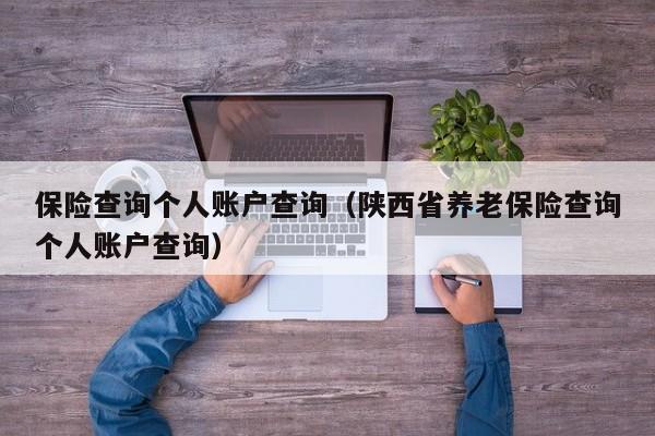 保险查询个人账户查询（陕西省养老保险查询个人账户查询）