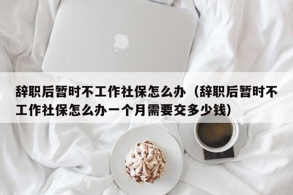 辞职后暂时不工作社保怎么办（辞职后暂时不工作社保怎么办一个月需要交多少钱）