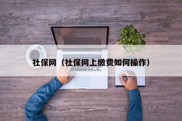 社保网（社保网上缴费如何操作）