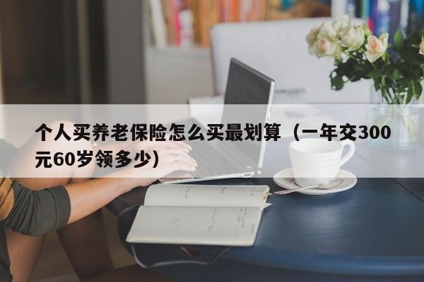 个人买养老保险怎么买最划算（一年交300元60岁领多少）