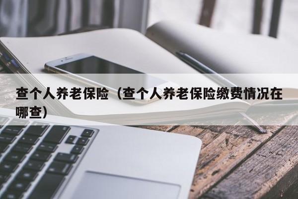 查个人养老保险（查个人养老保险缴费情况在哪查）