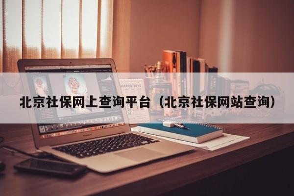 北京社保网上查询平台（北京社保网站查询）