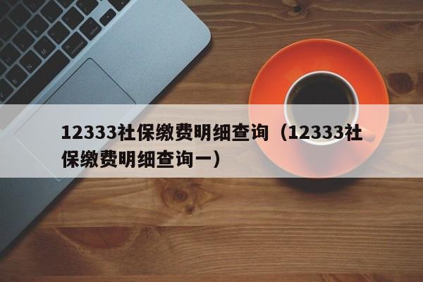 12333社保缴费明细查询（12333社保缴费明细查询一）