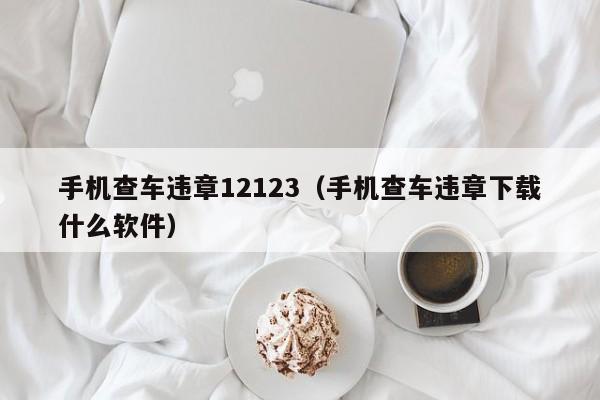 手机查车违章12123（手机查车违章下载什么软件）