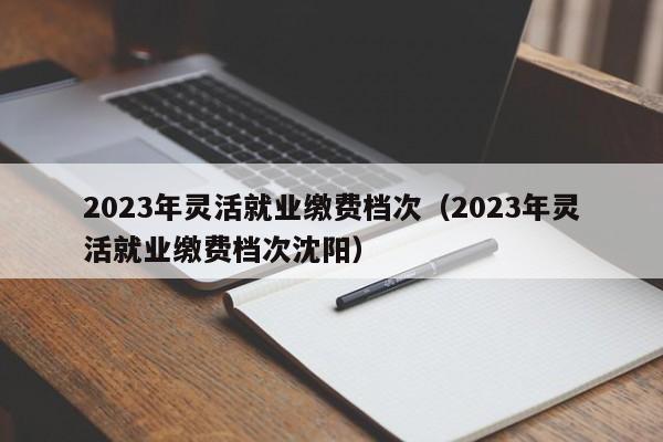 2023年灵活就业缴费档次（2023年灵活就业缴费档次沈阳）