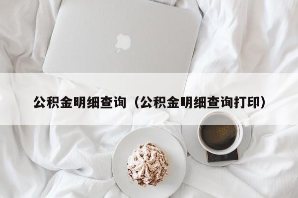 公积金明细查询（公积金明细查询打印）