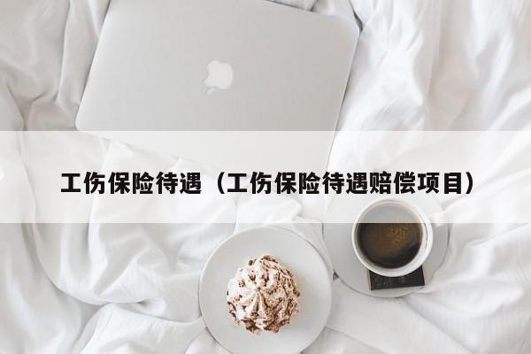 工伤保险待遇（工伤保险待遇赔偿项目）
