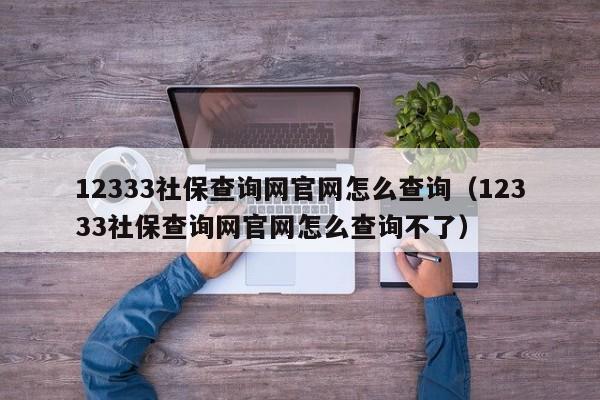 12333社保查询网官网怎么查询（12333社保查询网官网怎么查询不了）