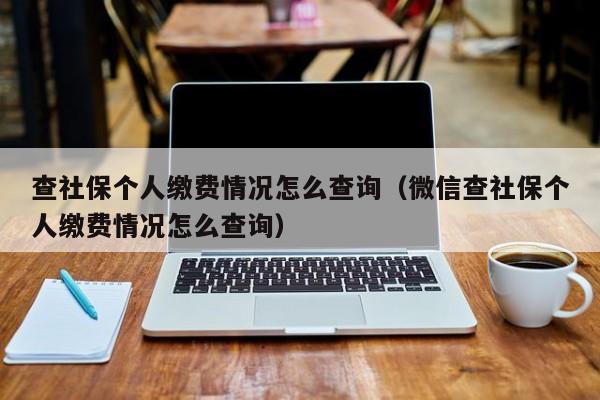查社保个人缴费情况怎么查询（微信查社保个人缴费情况怎么查询）