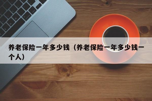 养老保险一年多少钱（养老保险一年多少钱一个人）