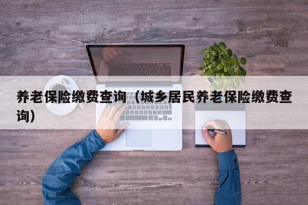 养老保险缴费查询（城乡居民养老保险缴费查询）