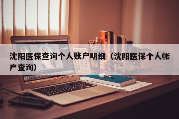 沈阳医保查询个人账户明细（沈阳医保个人帐户查询）