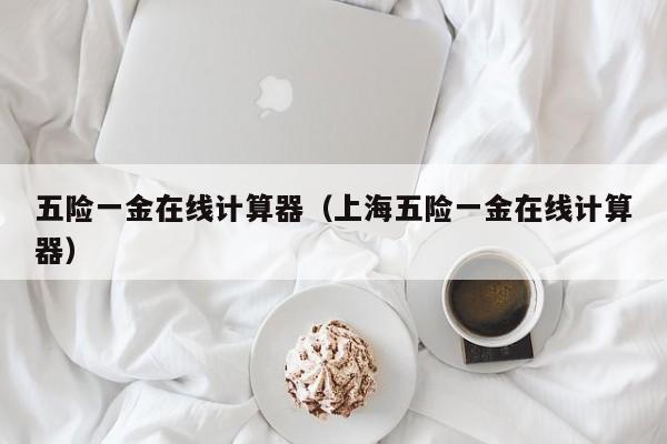 五险一金在线计算器（上海五险一金在线计算器）
