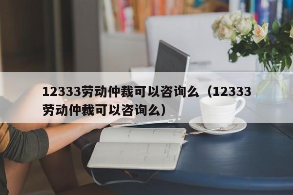 12333劳动仲裁可以咨询么（12333劳动仲裁可以咨询么）