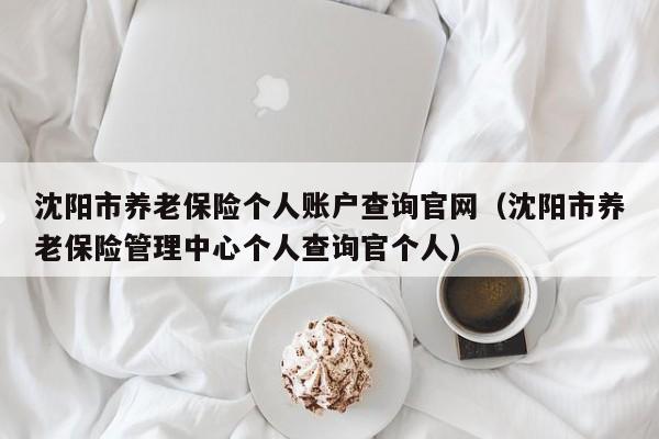 沈阳市养老保险个人账户查询官网（沈阳市养老保险管理中心个人查询官个人）