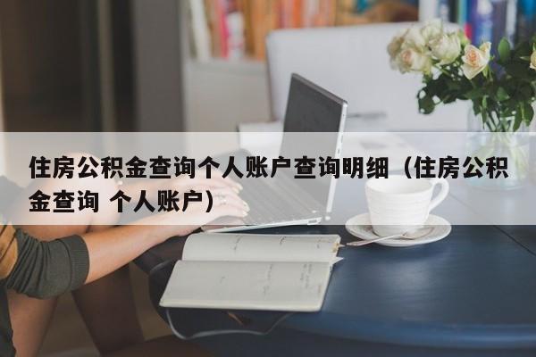 住房公积金查询个人账户查询明细（住房公积金查询 个人账户）
