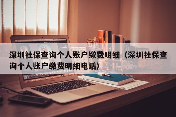 深圳社保查询个人账户缴费明细（深圳社保查询个人账户缴费明细电话）