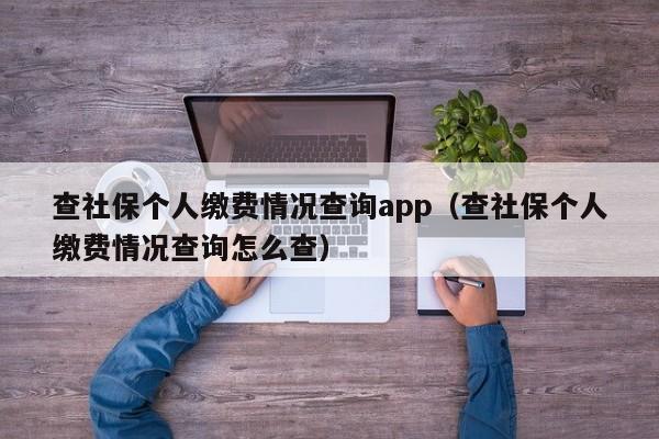 查社保个人缴费情况查询app（查社保个人缴费情况查询怎么查）